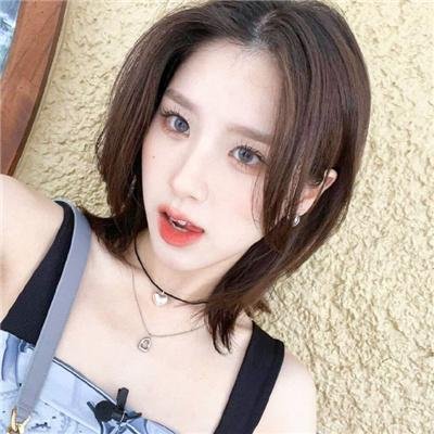 森林之境